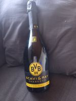 Borussia Dortmund Scavi & Ray Fan Edition schwarz gelb Nordrhein-Westfalen - Waldfeucht Vorschau