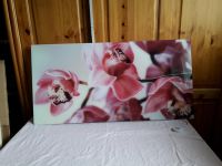 Glasbild Spritzschutz f. Herd 100 x 50cm Orchidee m. defekt Niedersachsen - Salzbergen Vorschau