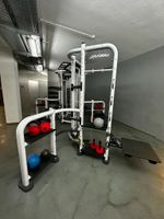 Life Fitness Synrgy, Functional Tower Baden-Württemberg - Erbach Vorschau