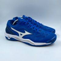 Mizuno Wave Stealth V Handballschuhe Gr.41 Hallenschuhe Nordrhein-Westfalen - Gronau (Westfalen) Vorschau