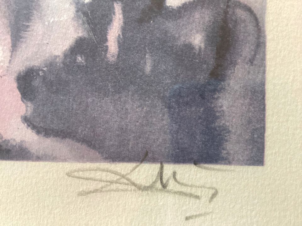 originale Grafik von Salvador Dali signiert und nummeriert in Köln