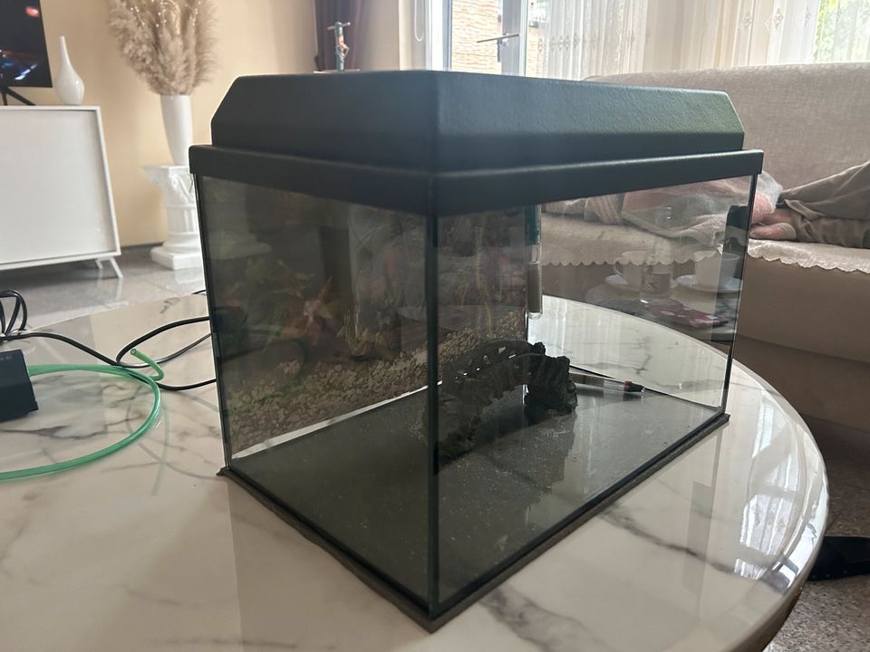 Aquarim 25x25x30 mit Zubehör: Heizstab, Pumpe, Magnet, Aufzucht in Duisburg