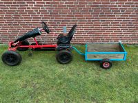 Dino Cars Kart mit Anhänger großes GoKart Schleswig-Holstein - Schülp Vorschau