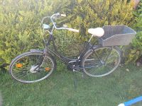 Batavus Old Dutch Hollandrad Damen 28 Zoll/ Rahmen 56cm Schleswig-Holstein - Bad Bramstedt Vorschau