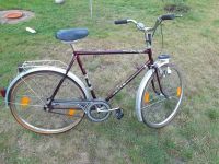 Fahrradwerke CITO 26" Retro Vintag Oldtimer Berlin - Spandau Vorschau