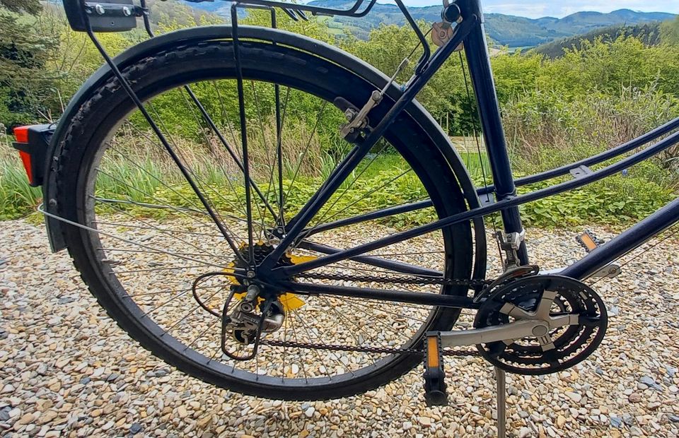 Trekkingfahrrad von Lardini, 21 Gänge,  28" Reifen in Meschede