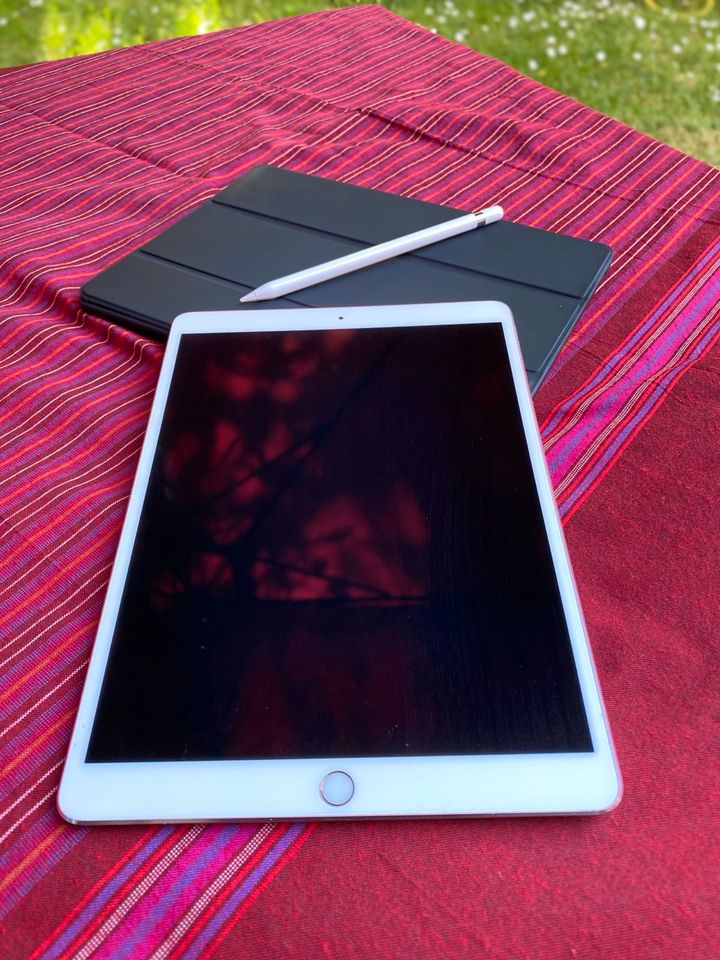 iPad Pro 10,5 Zoll - 256 GB - rosé inklusive Apple Pencil in Neuendettelsau