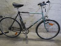 90er Jahre Herrenfahrrad Hercules 5-Gang Sachs Pentasport Hannover - Ahlem-Badenstedt-Davenstedt Vorschau