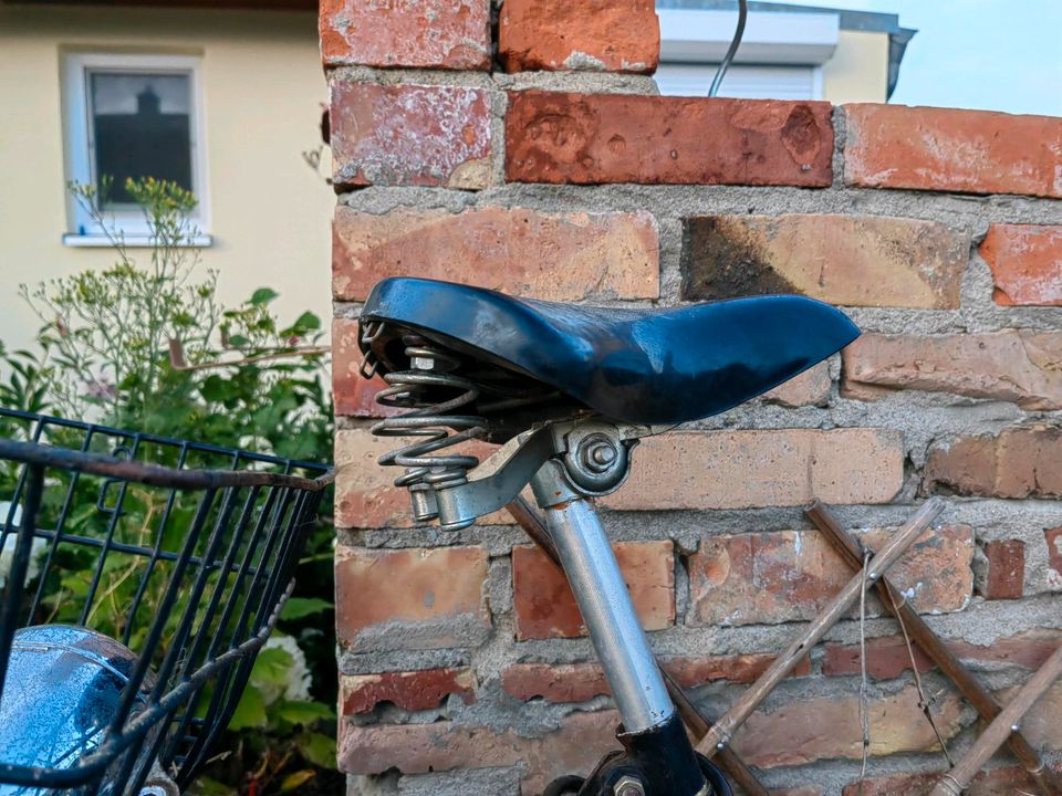 Altes Damen Rad zum fahren oder dekorieren in Neubrandenburg