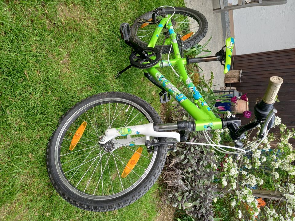 Scott Contessa 20 Zoll Kinderfahrrad bzw. Mountainbike in Forstern