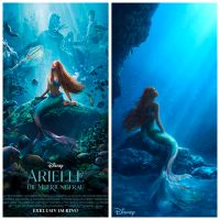 2x Arielle die Meerjungfrau Kinoposter Kinoplakat Filmplakat Köln - Porz Vorschau