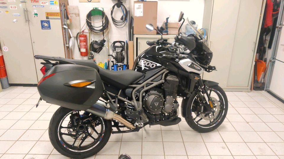 Tiger 1200 xrx Kofferhalter Shad 3P in Bad Gandersheim