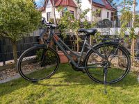 Damenfahrrad von Raleigh Thüringen - Worbis Vorschau