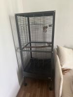 Vogel/Papageien Käfig zu verschenken Berlin - Zehlendorf Vorschau