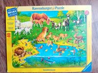 Ravensburger Puzzle Tiere und ihr Nachwuchs 3-5 Jahre Thüringen - Zeulenroda Vorschau