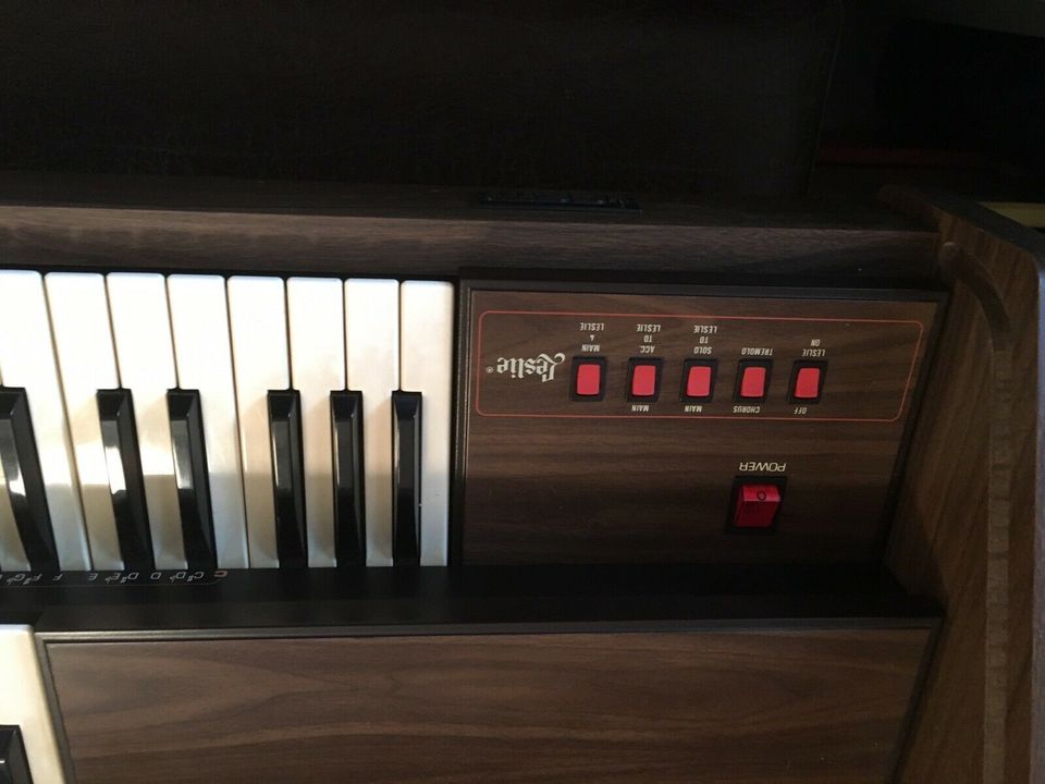 GEM Orgel Wizard 331 in Frielendorf