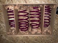 Vogtland Sport Lowering Springs Baden-Württemberg - Trossingen Vorschau