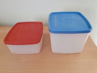 Tupperware Gefrierbehälter 400ml, 800ml mit Deckel Retro Vintage Bayern - Rottenburg a.d.Laaber Vorschau