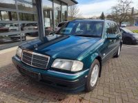 Mercedes-Benz C 250 TDT ELEGANCE Nordrhein-Westfalen - Lügde Vorschau