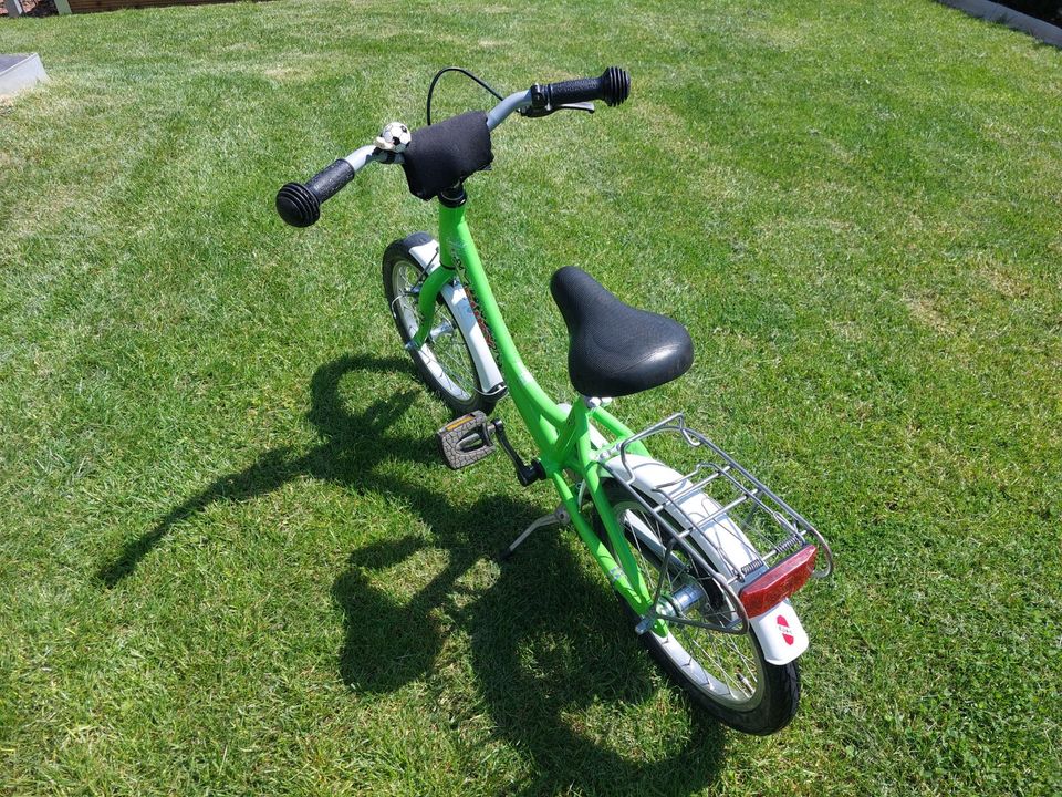 Puky Fahrrad 16 Zoll Rücktritt (guter Zustand) Kinderfahrrad in Bad Homburg