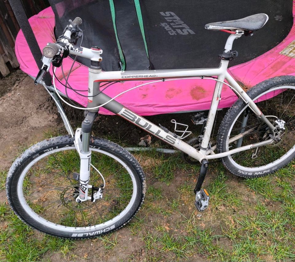 Fahrrad Bulls in Ludwigsfelde