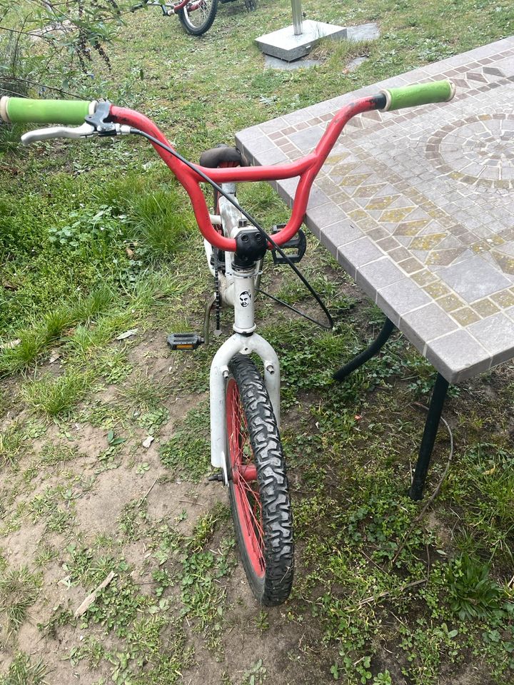 BMX für Anfänger in Coswig