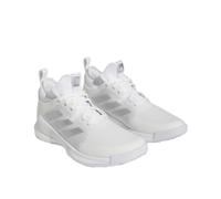 Suche adidas crazyflight mid 41 1/3 41,5 US 9 Mecklenburg-Vorpommern - Neubrandenburg Vorschau