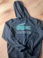 Lacoste pullover Bayern - Langerringen Vorschau