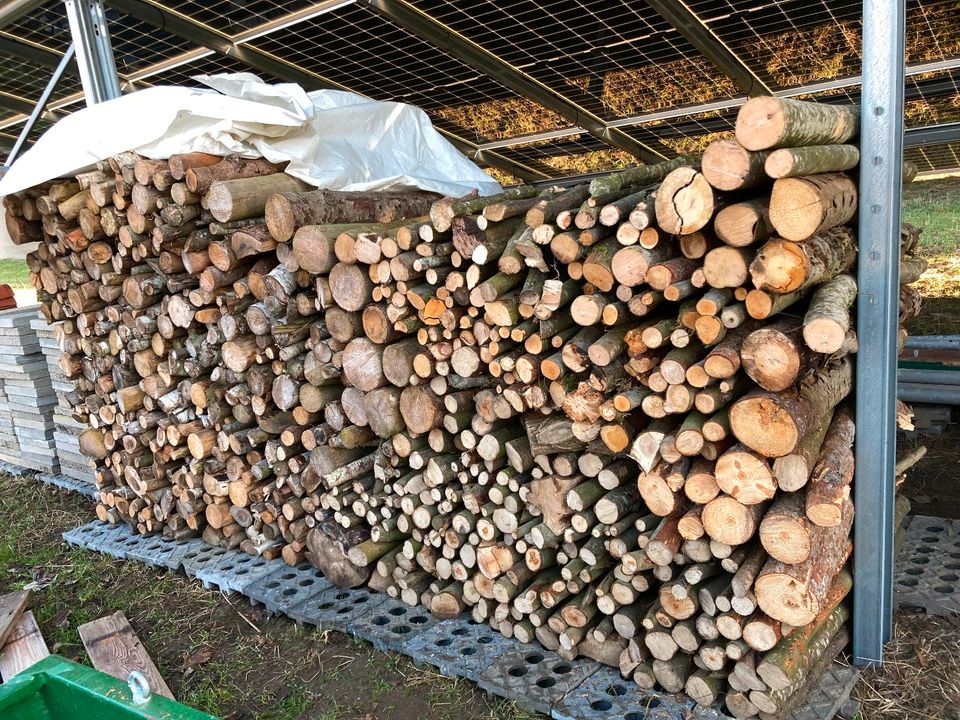 Brennholz Fichte und Hartholz in Altshausen