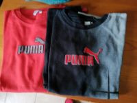 Puma T-Shirt Sachsen-Anhalt - Dessau-Roßlau Vorschau