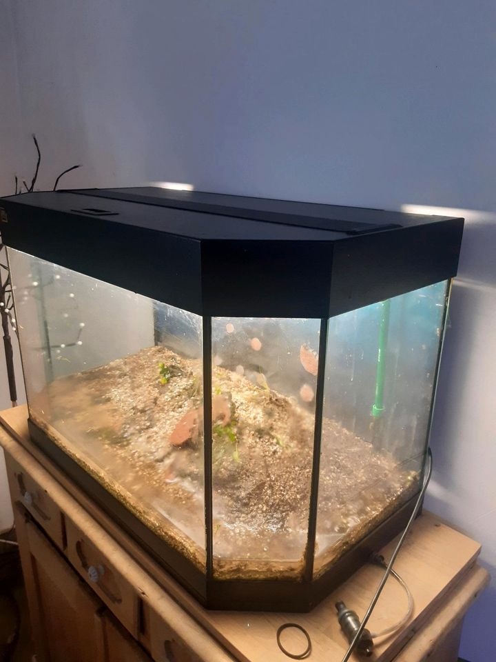Juwel  Aquarium  mit Eheim Filter 20,- Euro in Pfungstadt
