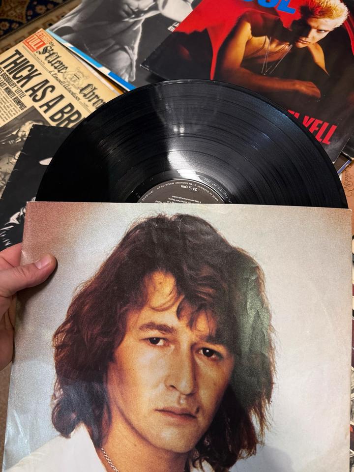 100x LPs Schallplatten Sammlung Rock & Pop Elvis Beatles Genesis in Bremen
