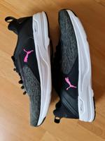 Turnschuh Puma Rheinland-Pfalz - Worms Vorschau