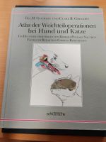 Fachbücher Tiermedizin Studium Veterinärmedizin Hund Katze Baden-Württemberg - Rickenbach Vorschau