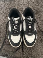 Puma Schuhe Hessen - Kassel Vorschau