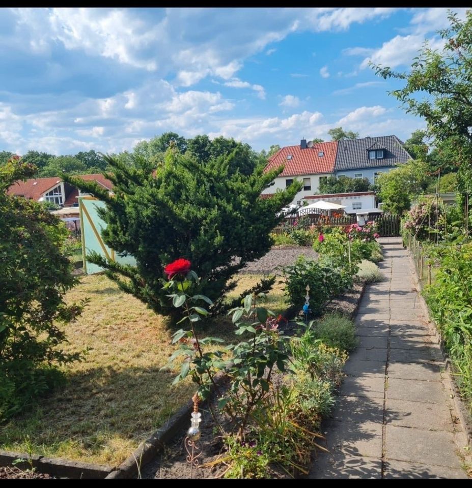 Gepflegter Kleingarten in Borna Garten mit Laube Strom in Regis-Breitingen