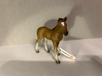 Schleich 13277 - Hannoveraner - Pferd Nordrhein-Westfalen - Viersen Vorschau