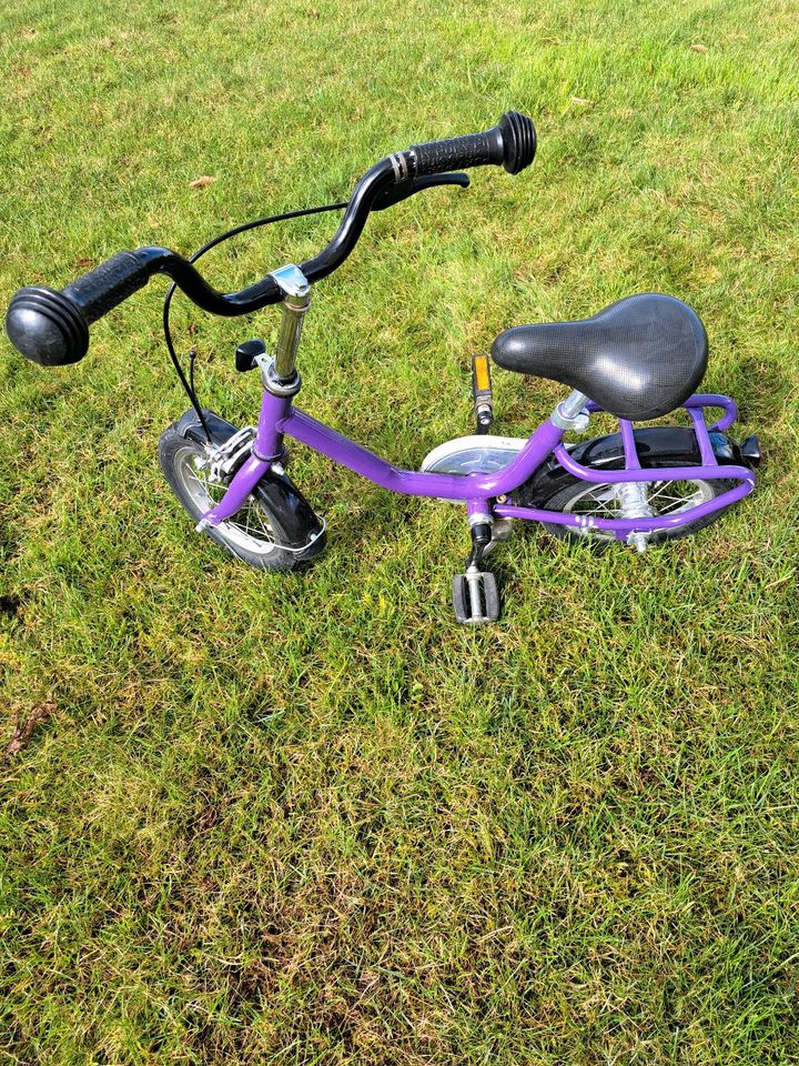 Puky Mädchen Fahrrad 12 Zoll in Eggolsheim