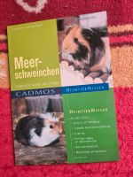 Meerschweinchen Bücher, Sachbücher Bayern - Tittling Vorschau