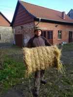 Bestes Heu von artenreichen Wiesen Sachsen-Anhalt - Dingelstedt am Huy Vorschau