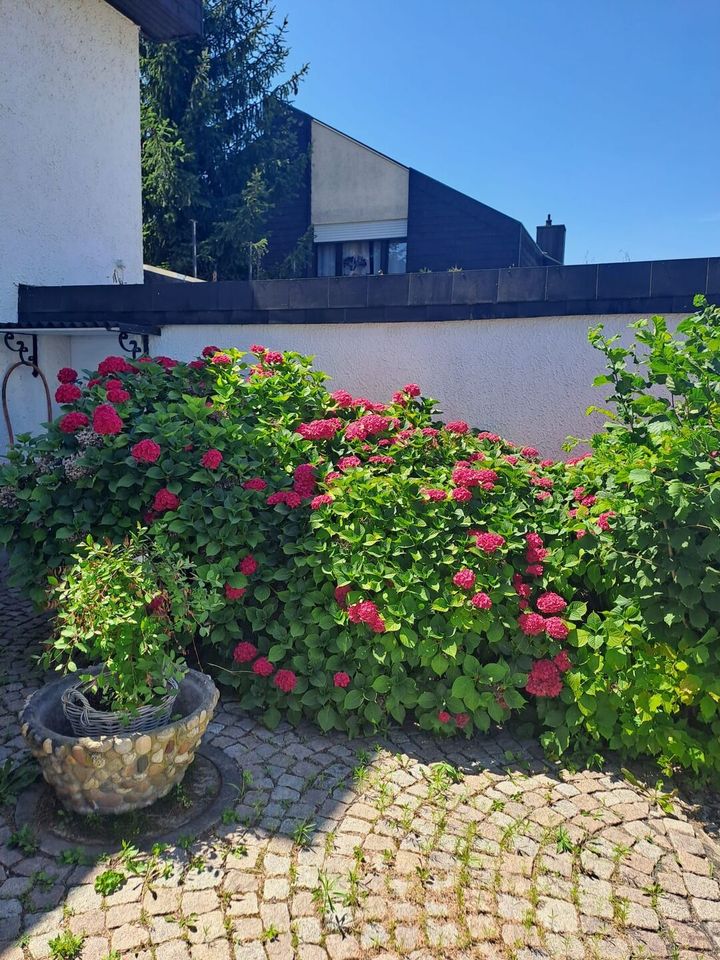 Freistehendes EFH mit Traumgarten und Einliegerwohnung in Rheinfelden (Baden)