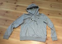 Schöner Pullover Hoodie Sweatshirt Puma Gr M Sachsen - Kreischa Vorschau