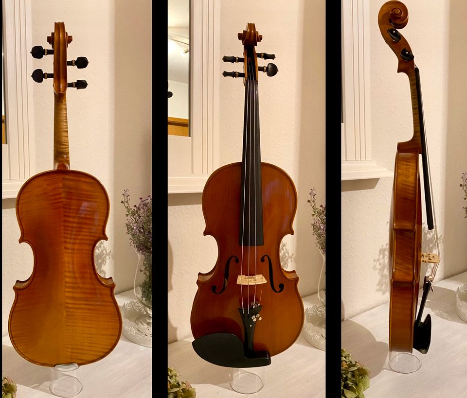 Alte Geige /Meistervioline sehr gepflegt in Leopoldshöhe