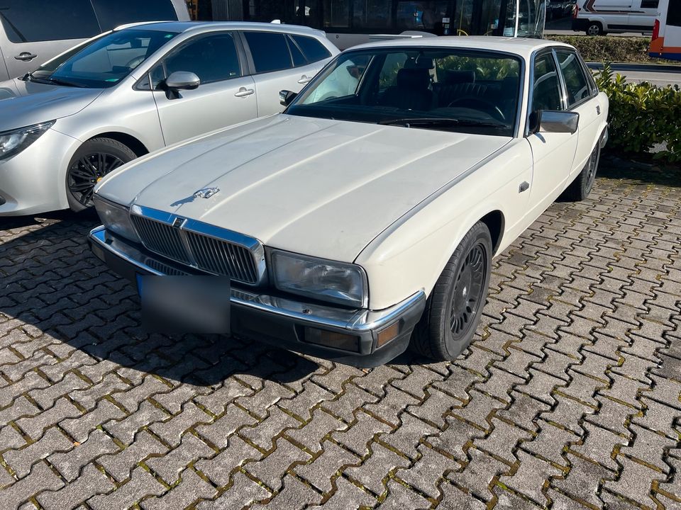                    Jaguar XJ 40 3.6 Liter Benzin