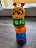 Stapel Raupe Baby Einstein Rostock - Südstadt Vorschau