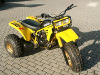 Yamaha Tri Z 250 Hessen - Wolfhagen  Vorschau