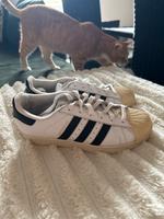 Adidas Superstar Baden-Württemberg - Dornstadt Vorschau