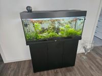 Juwel Rio 180 Aquarium incl. Viel Zubehör Niedersachsen - Lastrup Vorschau