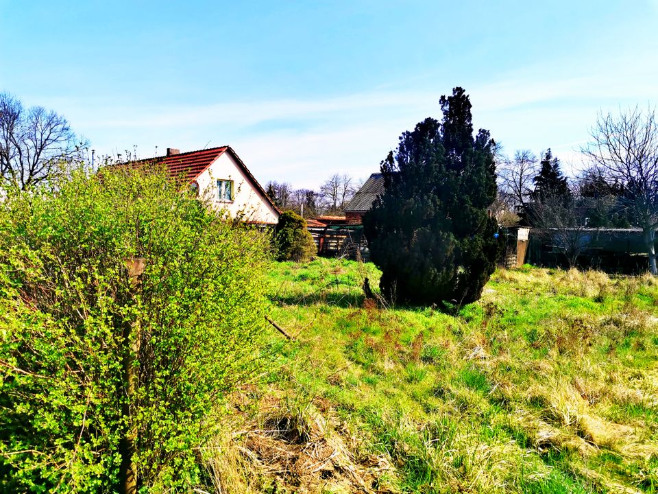 ⭐ Baugrundstück direkt in Schulzendorf - Löwenbergerland - PROVISIONSFREI ⭐ in Schulzendorf