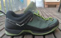 Salewa Mountain Trainer GTX Trekkingschuhe Gr.42 Dresden - Pieschen Vorschau